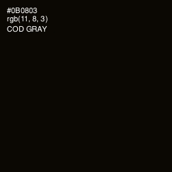 #0B0803 - Cod Gray Color Image